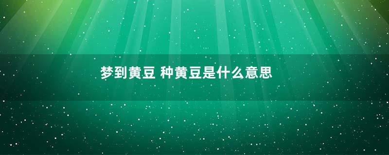 梦到黄豆 种黄豆是什么意思